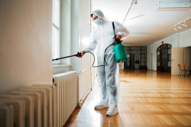 Best Emergency Pest Control  in Wild Peach Village, TX
